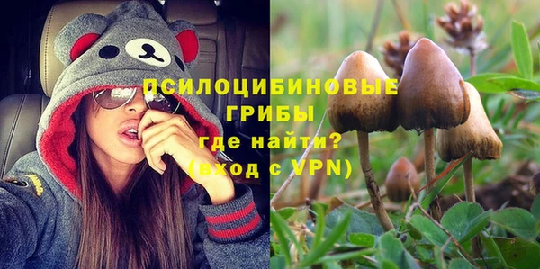 PSILOCYBIN Абаза