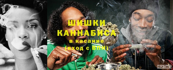 сатива Абинск