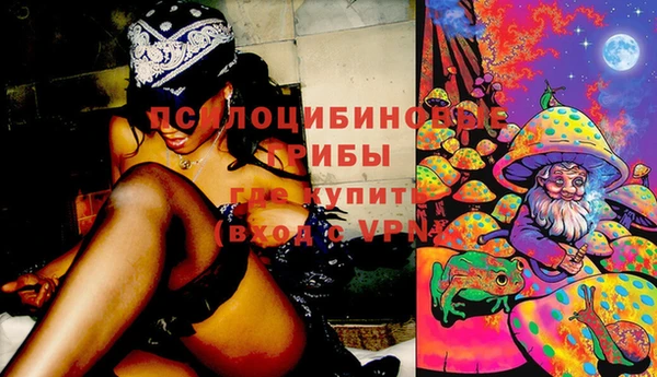 PSILOCYBIN Абаза