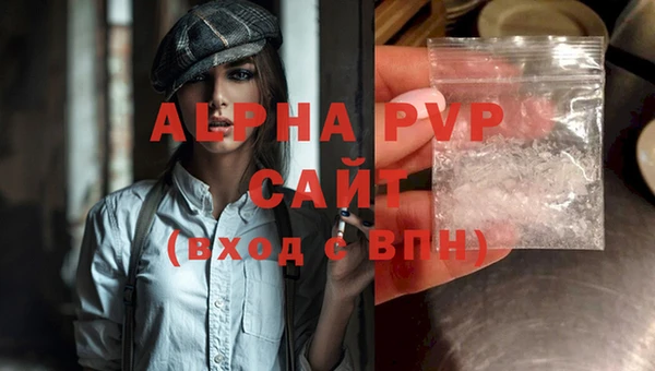 сатива Абинск